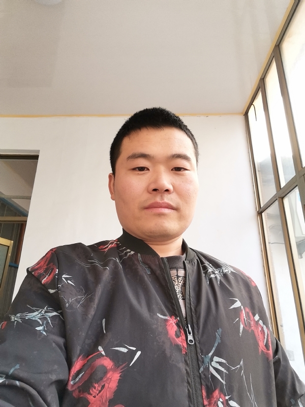 会飞的猪的第一张照片--山东蓝颜知己交友网